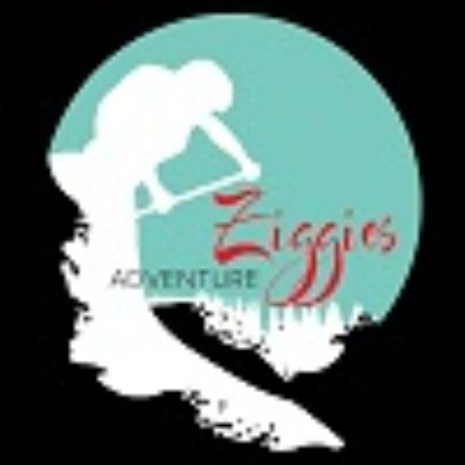 ziggies adventure japan logo